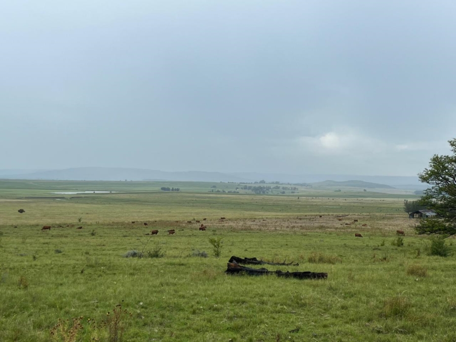 6 Bedroom Property for Sale in Ladybrand Rural Free State